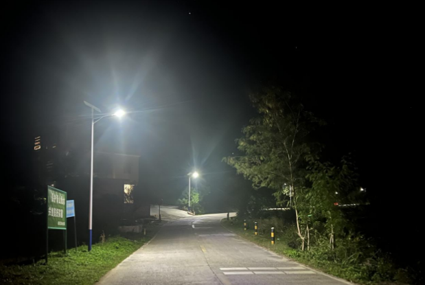 廣東肇慶實(shí)施路燈亮化工程“照亮”群眾出行路---豐朗光電