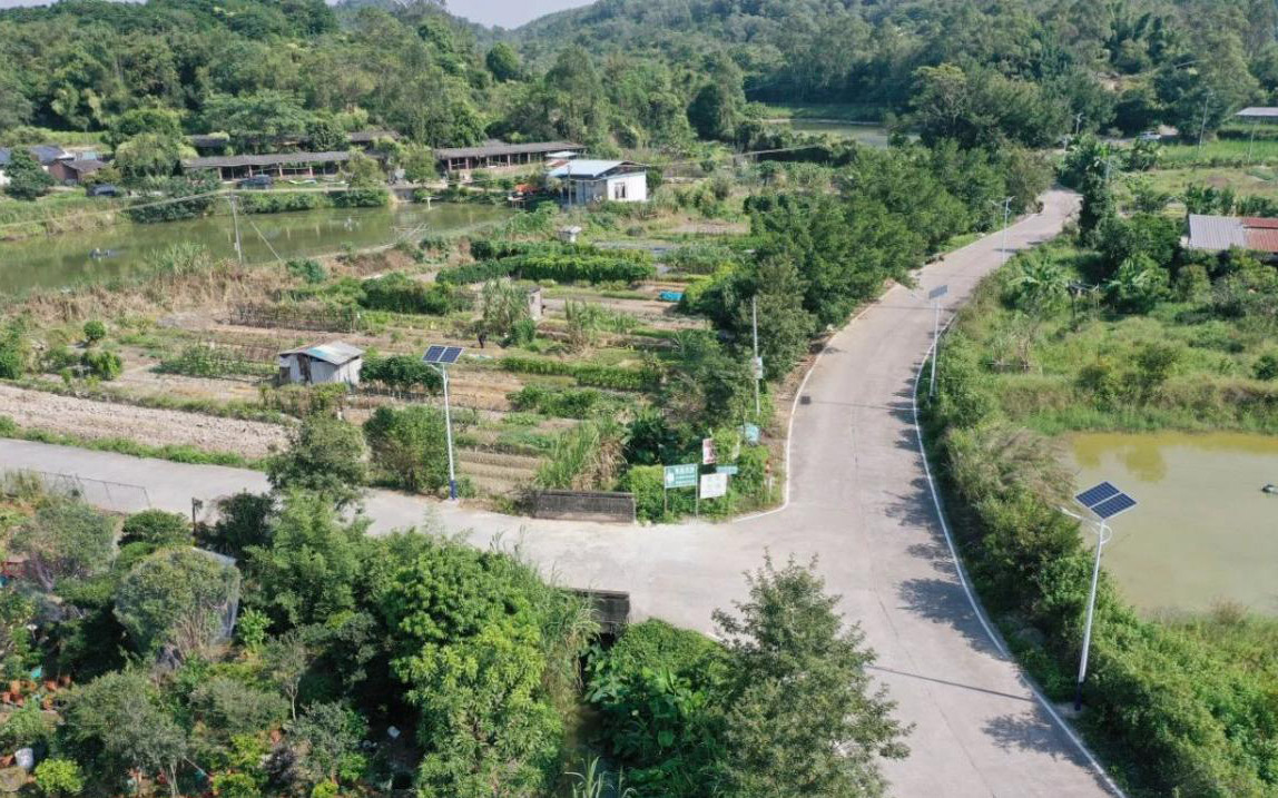 廣東江門鶴山市雅瑤鎮(zhèn)實(shí)現(xiàn)道路亮化全覆蓋---豐朗光電