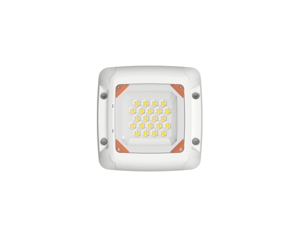 FY油站燈_led照明燈具